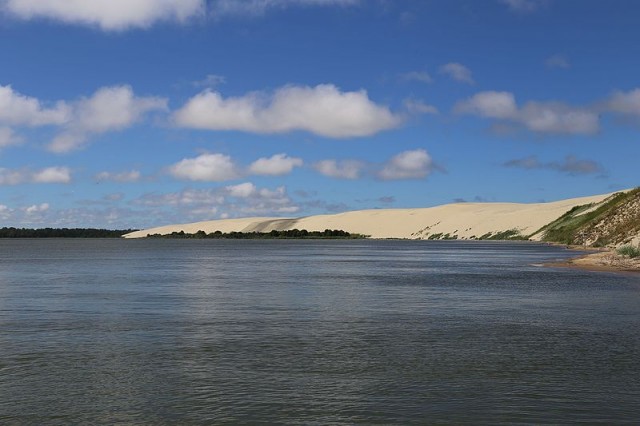 Półwysep Kuroński, wydmy, Autor: Kajakalas, źródło: commons.wikimedia.org
